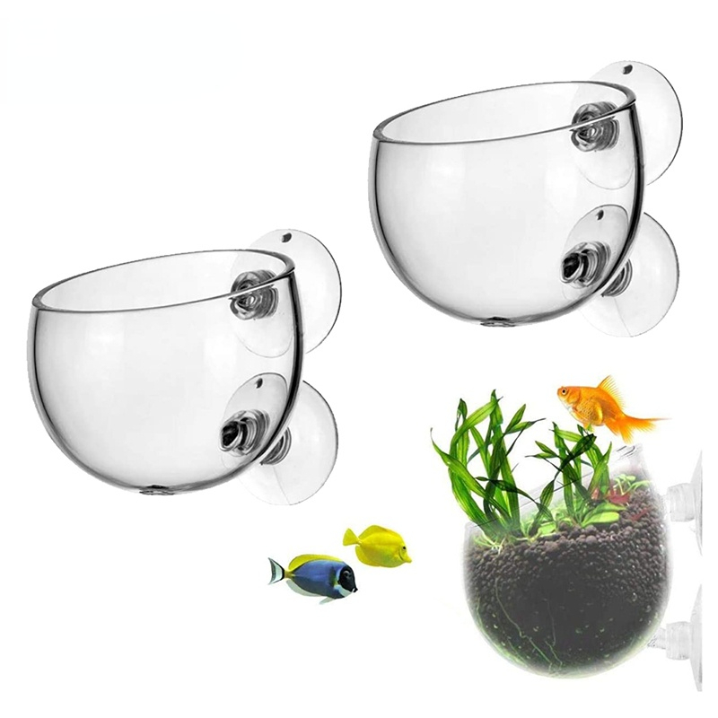 Aquarium Planted Seeds - New Aquarium Plant Pot Glass Cylinder