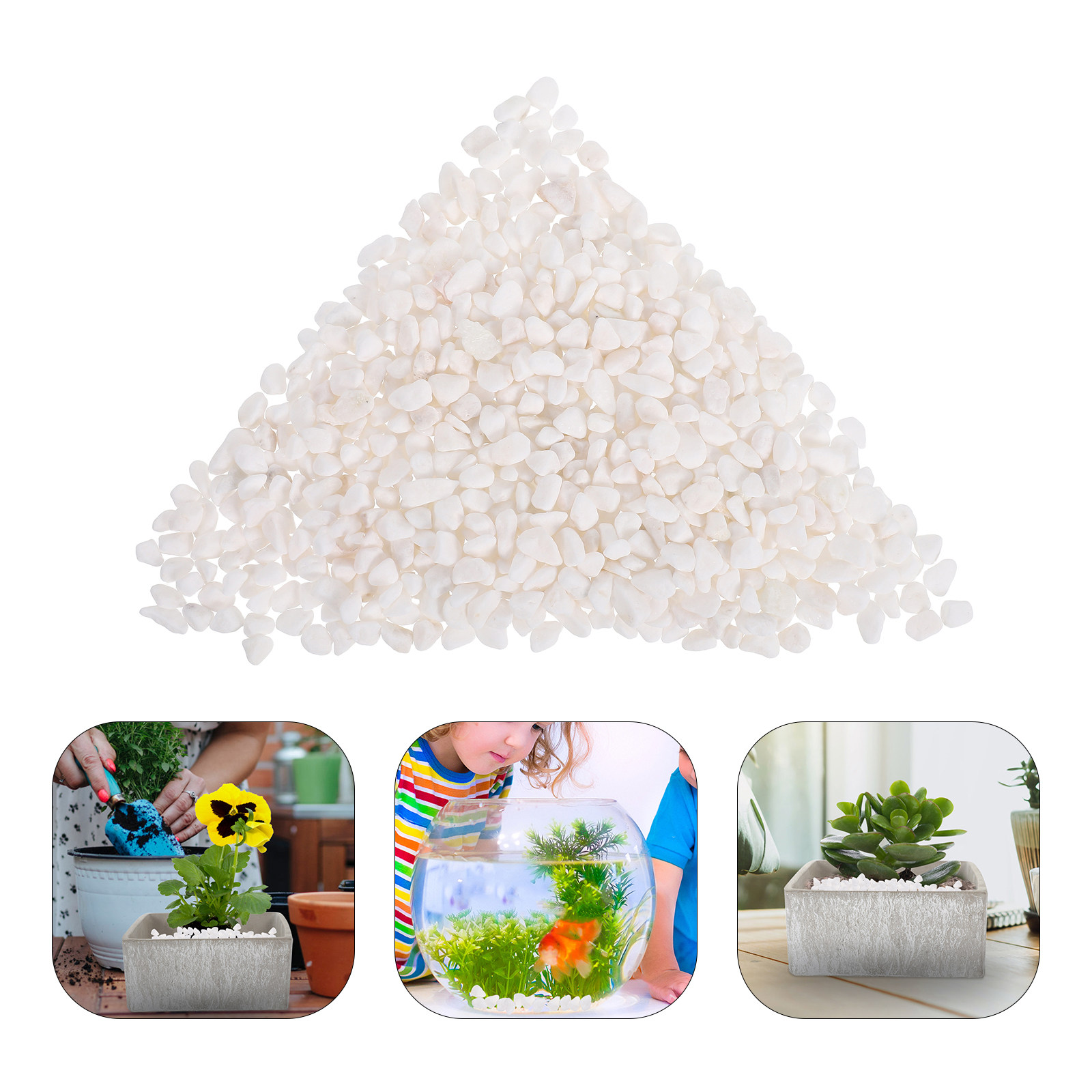 Planted Aquarium With Gravel - Natural Decorative Aquarium Gravel 250G Fish