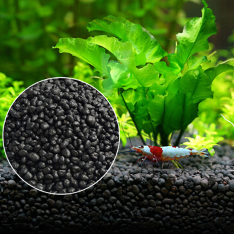 Tissue Culture Plant - Aquarium Plant Seeds Soil Fishtank Substrate