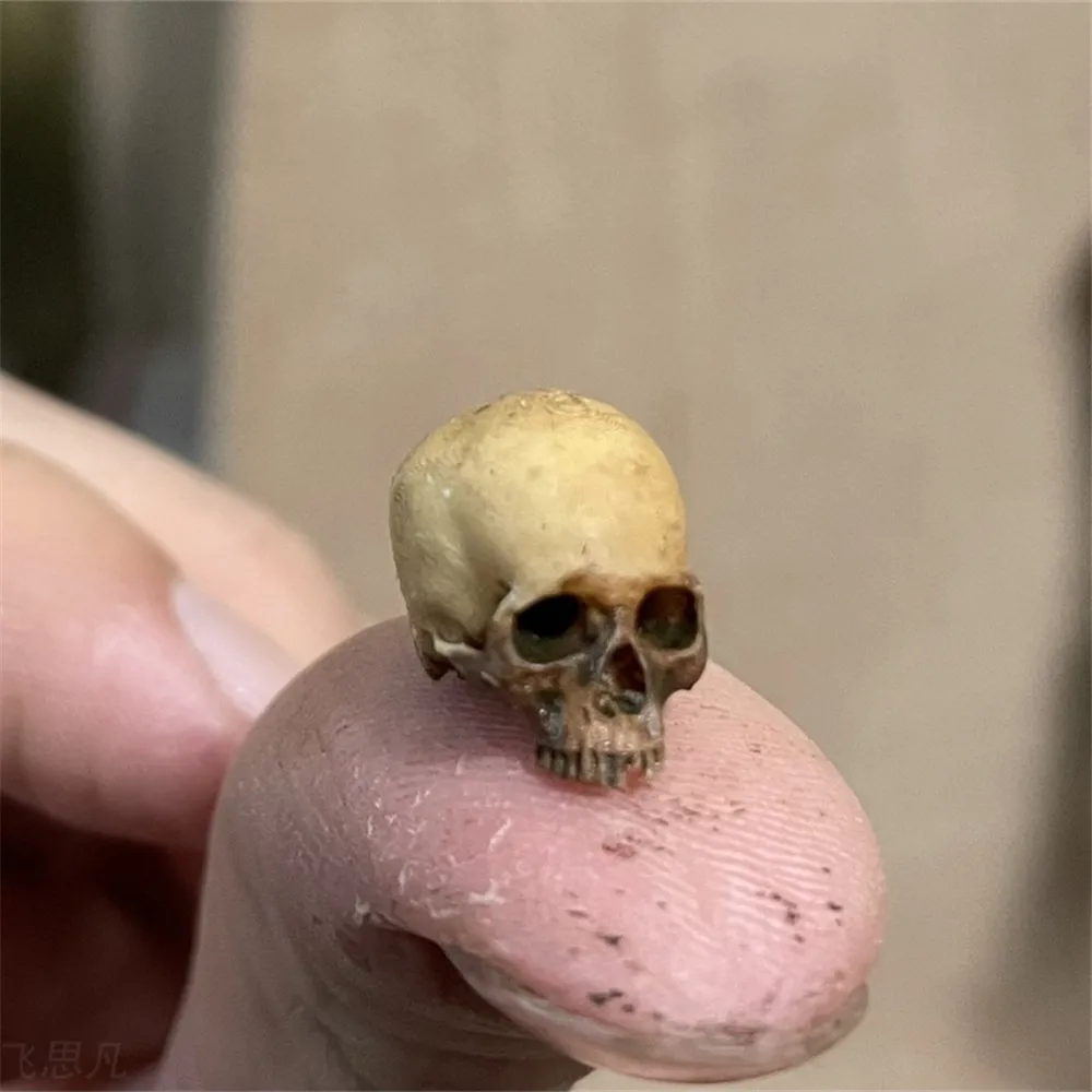 Aquarium Plant Nursery - Mini Skull High Quality Miniature Model