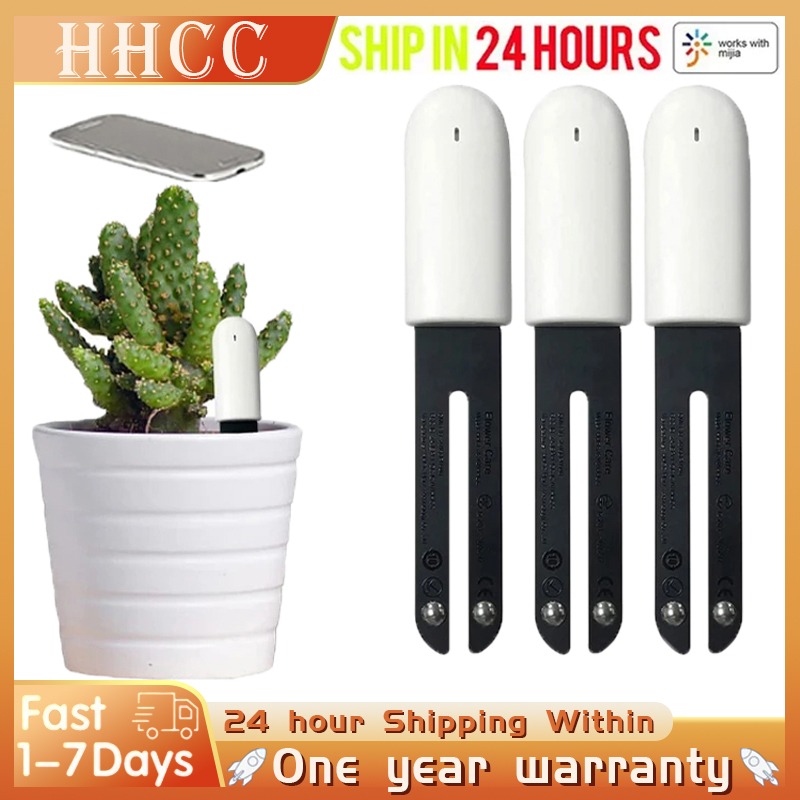 Tissue Culture Plant - HHCC Flower Monitor Flora Garden Care