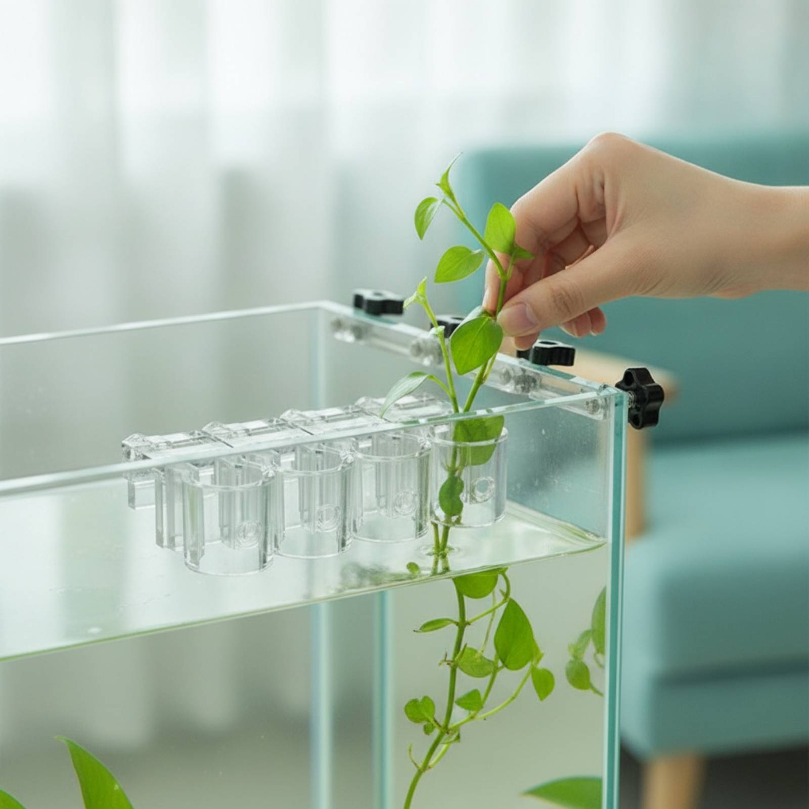 6 Pieces Aquarium Planter Clea - огляд і ціна Aquarium Planting