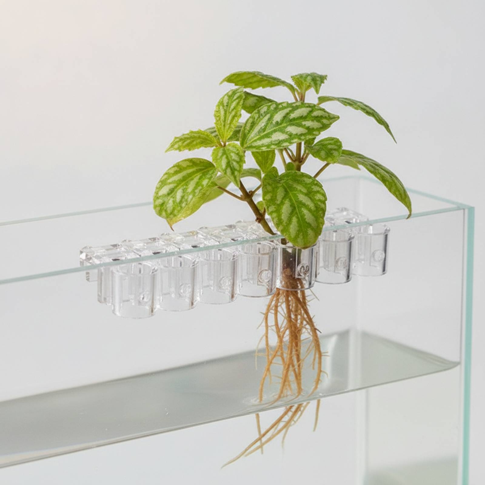 6 Pieces Aquarium Planter Clea - огляд і ціна Aquarium Planting