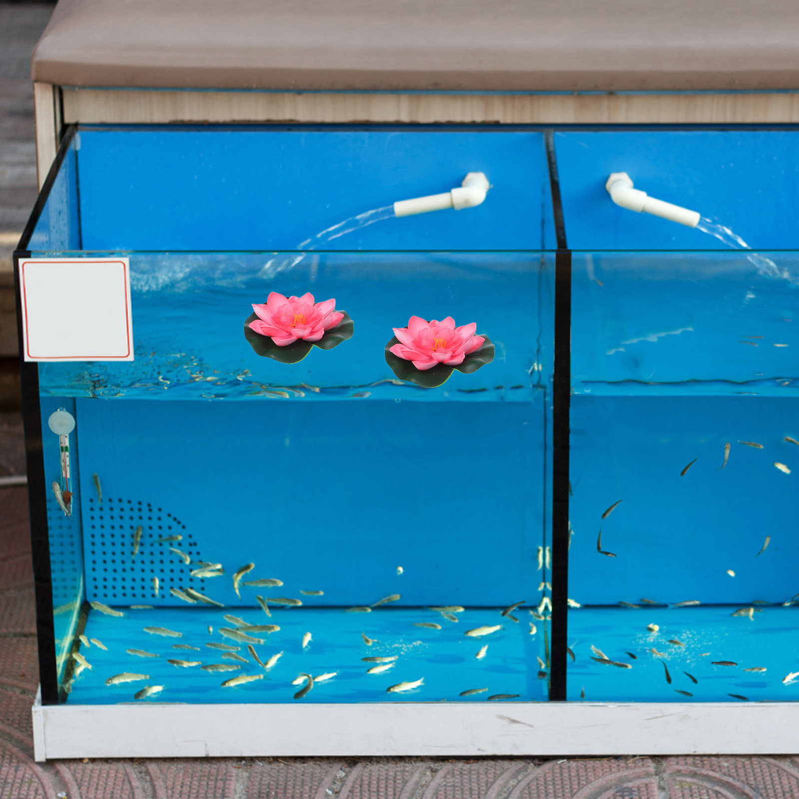12Pcs Artificial Floating Wate - огляд і ціна Aquarium Planting