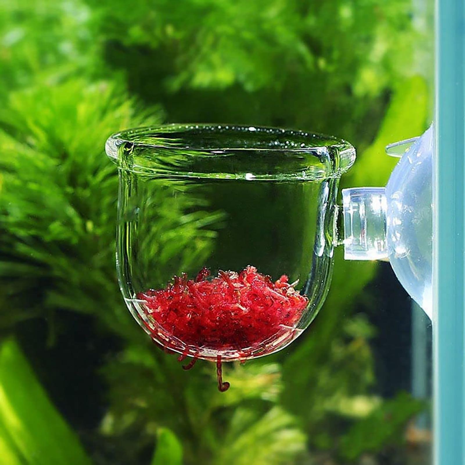 Aquarium Plant Pot Glass Cylin - огляд і ціна Aquarium Planted Seeds