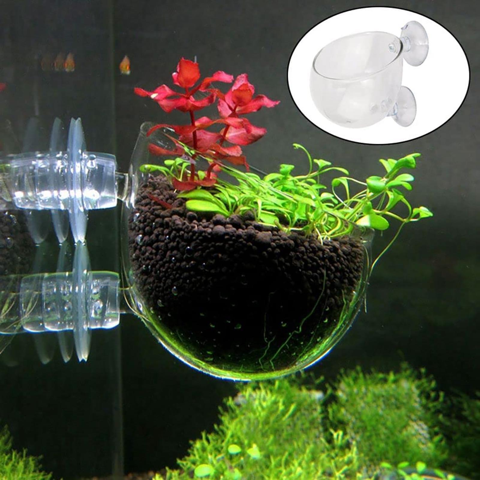 Aquarium Plant Pot Glass Cylin - огляд і ціна Aquarium Planted Seeds