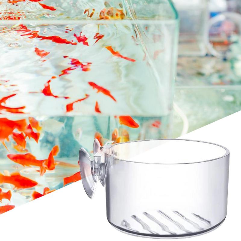 Aquarium Plant Pot Glass Cylin - огляд і ціна Aquarium Planted Seeds
