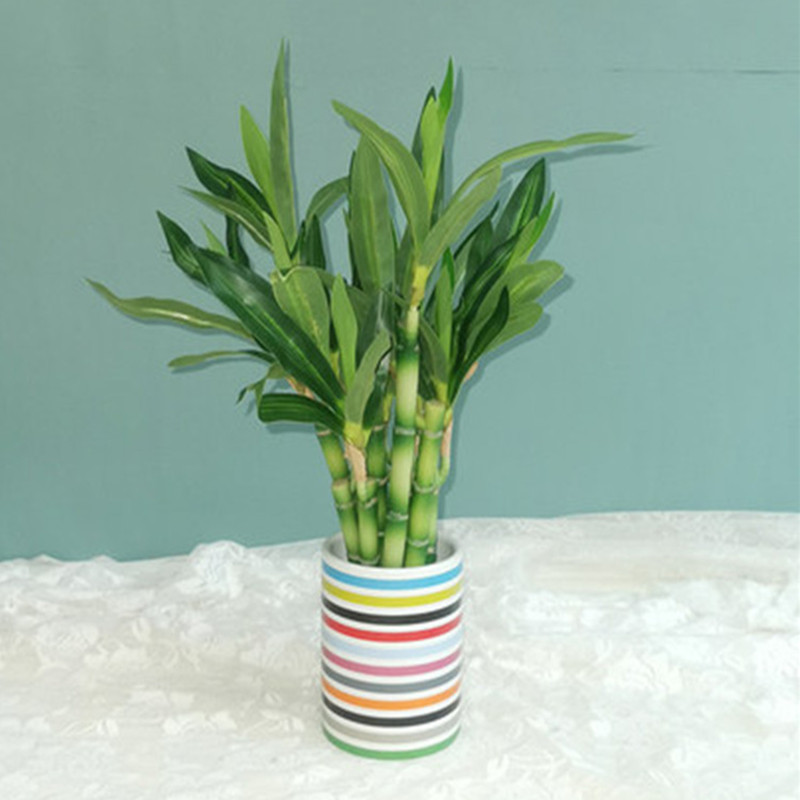New 40cm Artificial Lucky Bamb - огляд і ціна Aquarium Plant Nursery