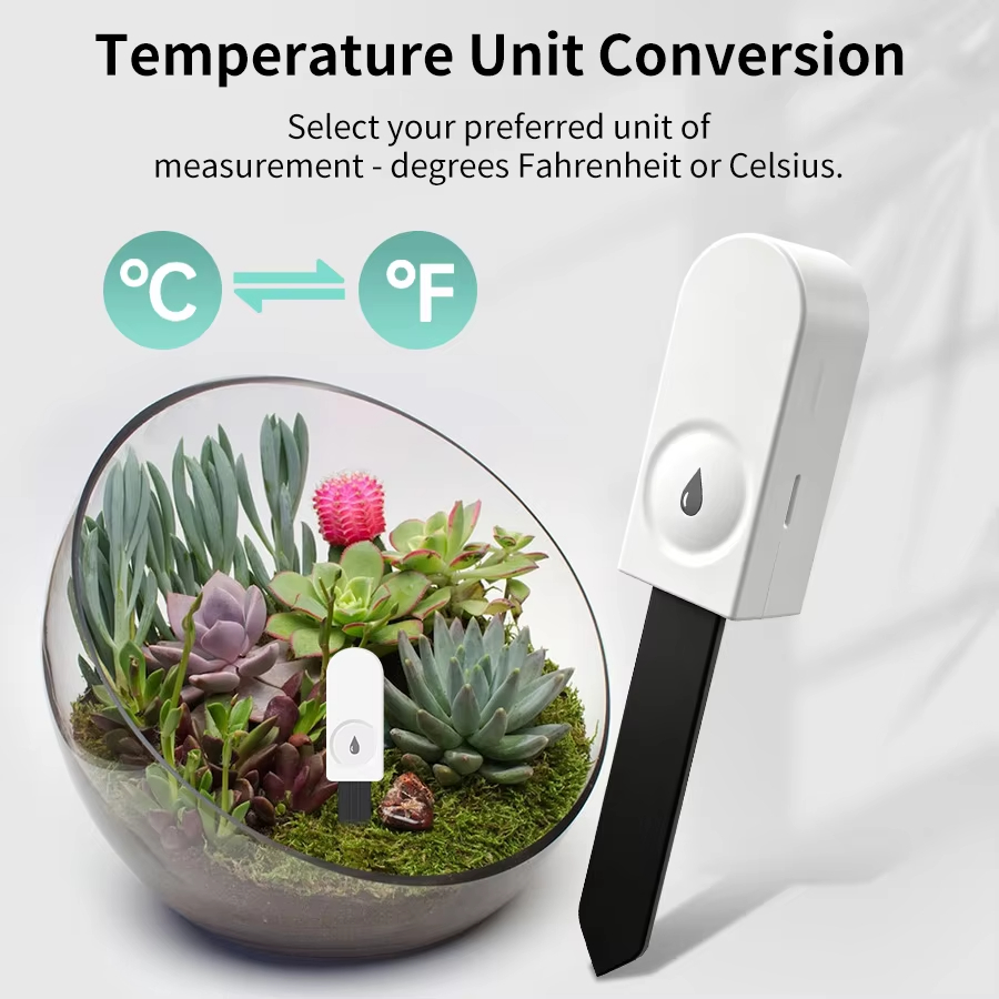 Multi‑function Zigbee Soil Tes - огляд і ціна Tissue Culture Plant