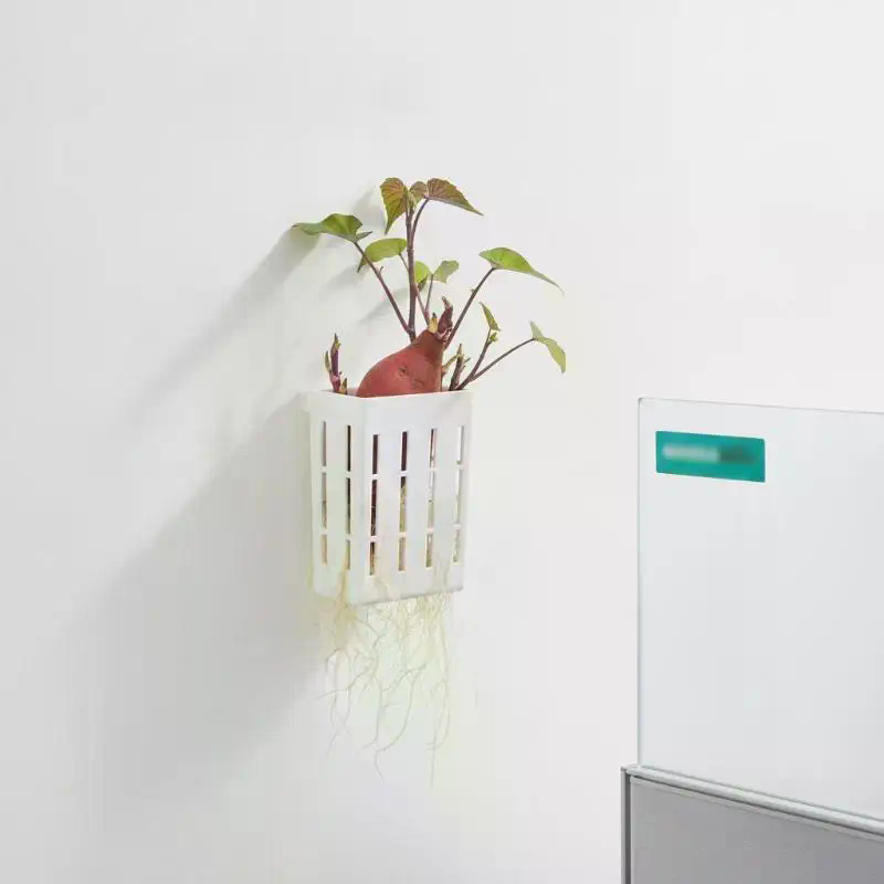 1Pcs Hydroponic Support Basket - огляд і ціна Aquarium Planting