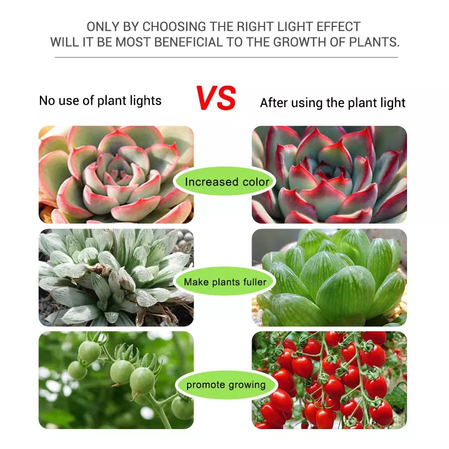 LED5V Light Bar Flower Aquariu - огляд і ціна Planted Aquarium Hours