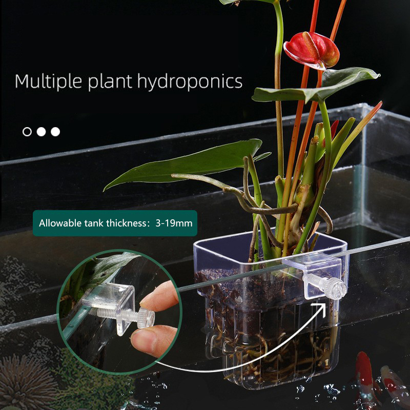 1Pc Aquarium Hydroponic Plant  - огляд і ціна Aquarium Planted Seeds