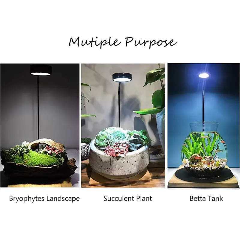 Full Spectrum LED Light with B - огляд і ціна Planted Aquarium Hours