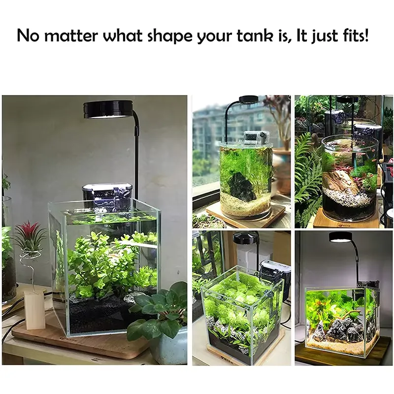 Full Spectrum LED Light with B - огляд і ціна Planted Aquarium Hours