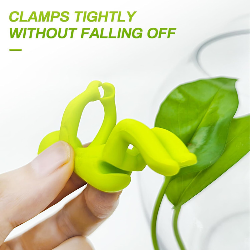 Hydroponic Plant Fixing Figuri - огляд і ціна Tissue Culture Plant