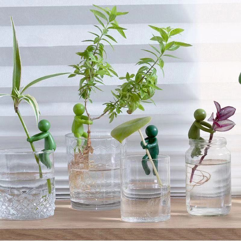 Hydroponic Plant Fixing Figuri - огляд і ціна Tissue Culture Plant