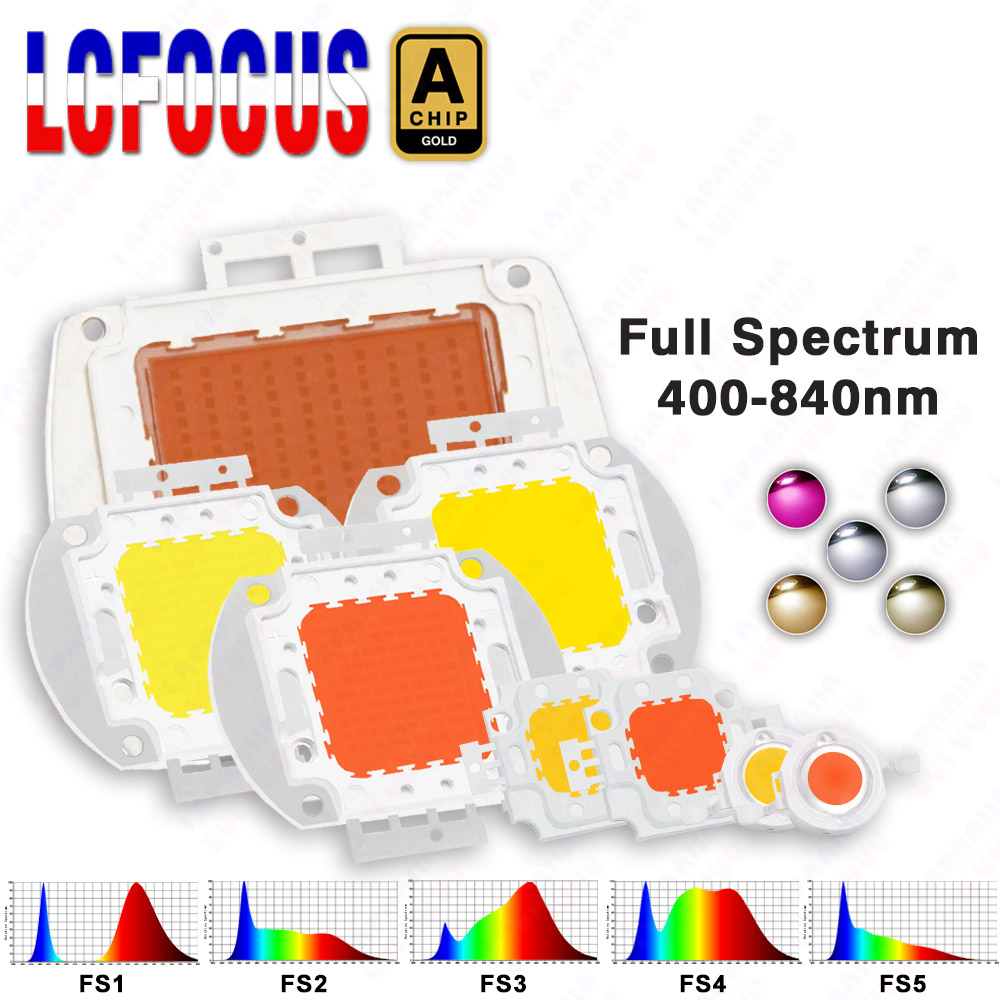 1W 3W 5W 10W 20W 30W 50W 100W  - огляд і ціна Aquarium Planted Seeds