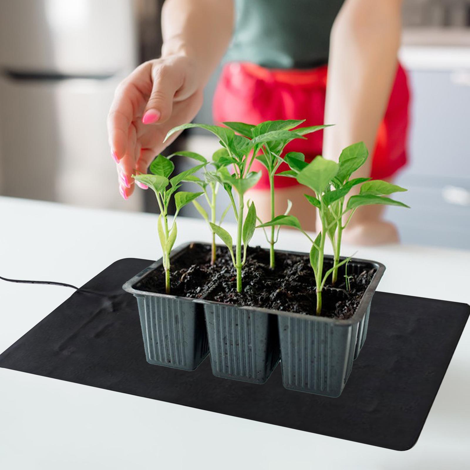 8.5W USB Seedling Heat Mats 3  - огляд і ціна Tissue Culture Plant