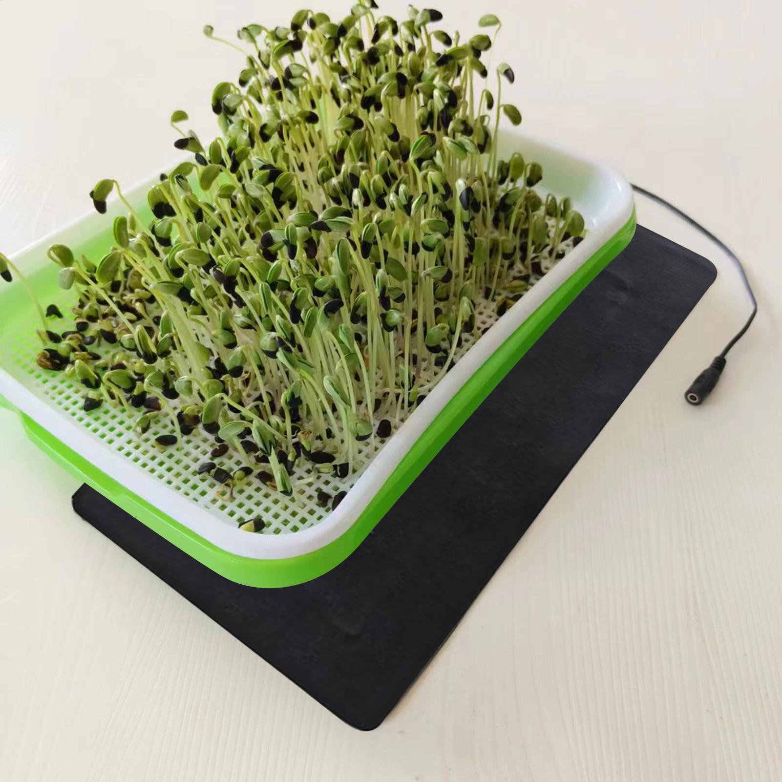 8.5W USB Seedling Heat Mats 3  - огляд і ціна Tissue Culture Plant