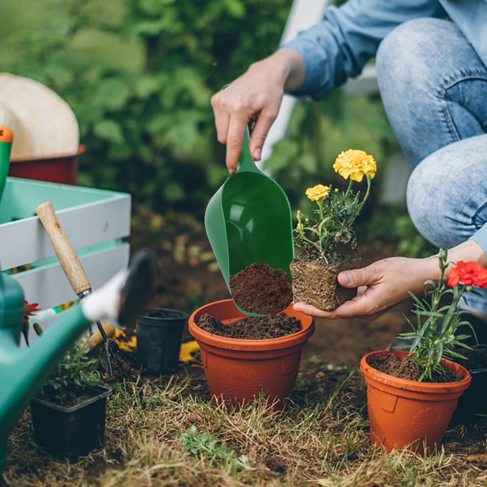 Gardening Shovel Soil Scoops L - огляд і ціна Tissue Culture Plant
