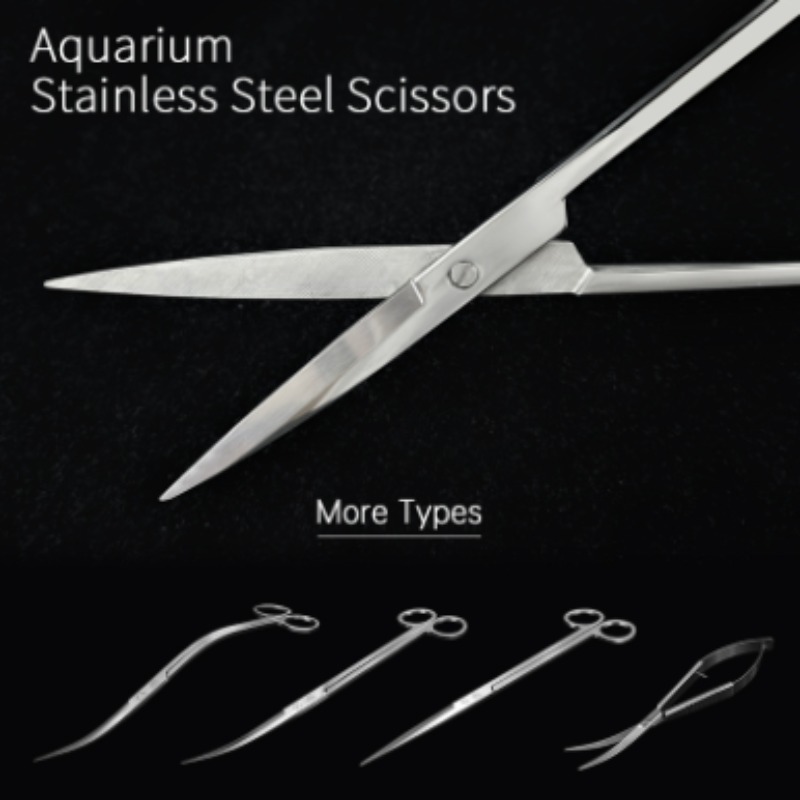 Week Aqua Stainless Steel Aqua - огляд і ціна Aquarium Plant Nursery