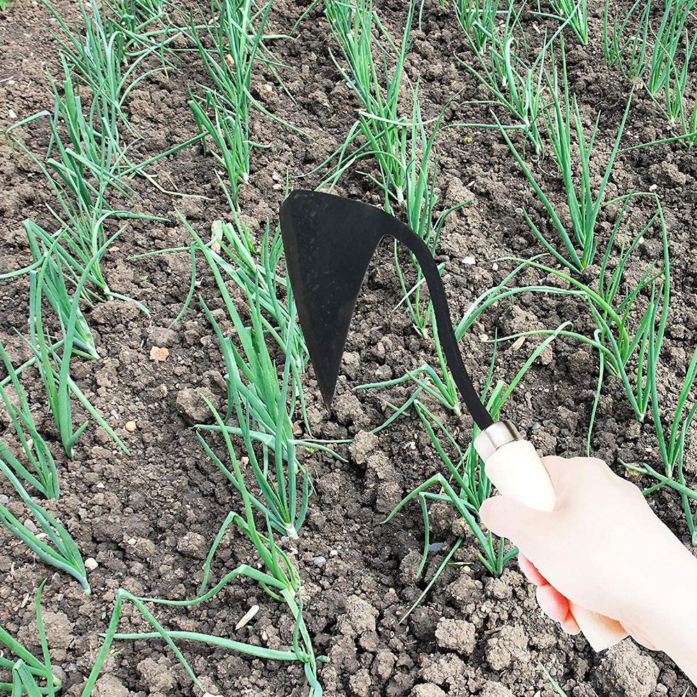 Farm Tools Hoes Triangle Furro - огляд і ціна Tissue Culture Plant