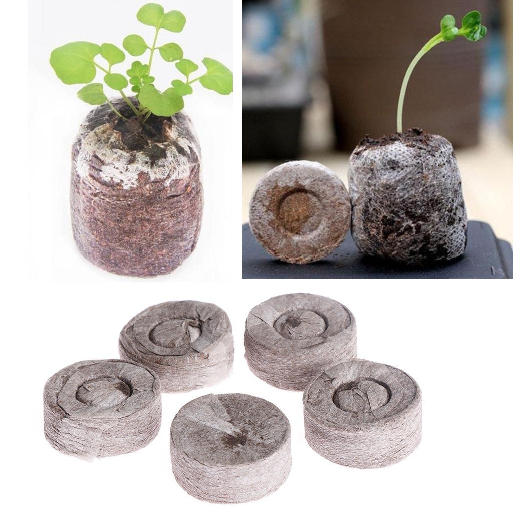 Peat Pellets Seed Starting Plu - огляд і ціна Tissue Culture Plant