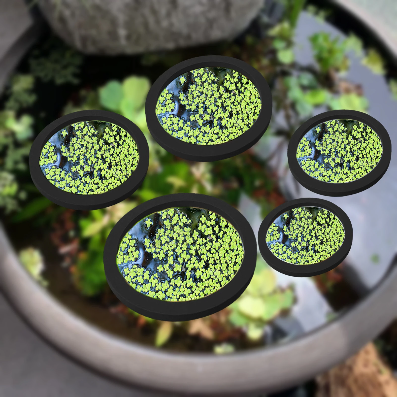5Pcs EVA Fish Feeding Ring Aqu - огляд і ціна Aquarium Planting