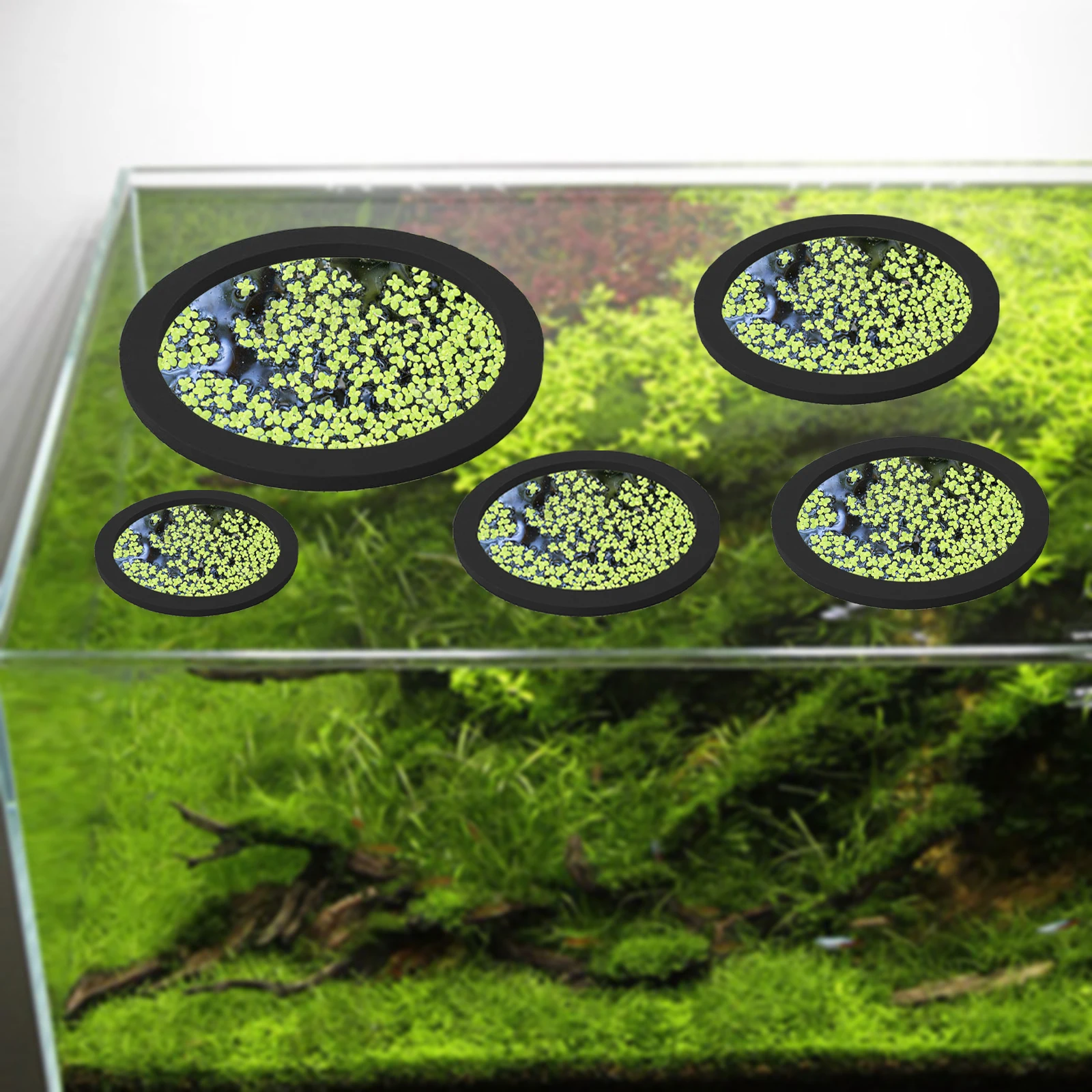 5Pcs EVA Fish Feeding Ring Aqu - огляд і ціна Aquarium Planting