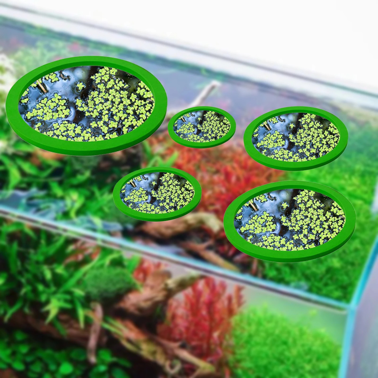 5Pcs EVA Fish Feeding Ring Aqu - огляд і ціна Aquarium Planting