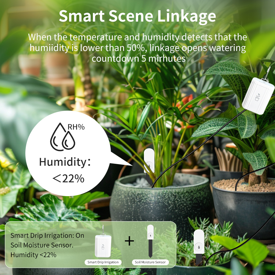 Smart Zigbee 3.0 Soil Tester H - огляд і ціна Tissue Culture Plant