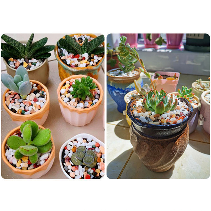 Fish Tank Bottom Sand DIY Acce - огляд і ціна Planted Aquarium With Gravel