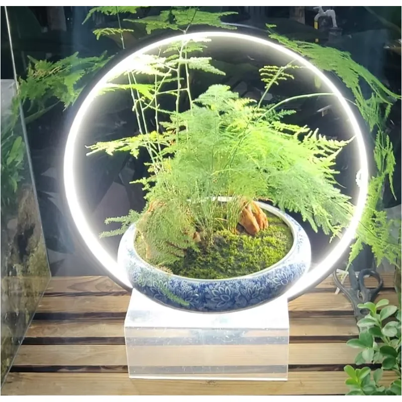 Desktop LED Aquarium Lamp for  - огляд і ціна Planted Aquarium Hours