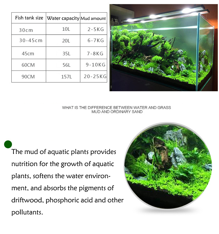 Aquarium Plant Seeds Soil Fish - огляд і ціна Tissue Culture Plant
