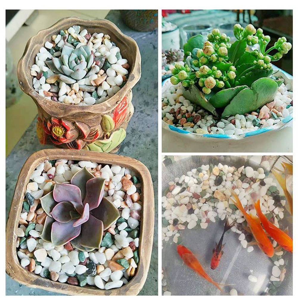 100g Natural Crystals Gravel S - огляд і ціна Planted Aquarium With Gravel