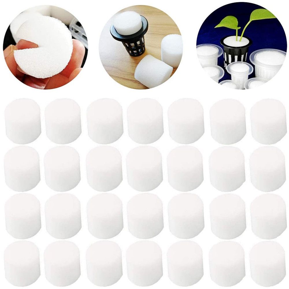 10/50pcs Durable Garden Suppli - огляд і ціна Aquarium Planted Seeds
