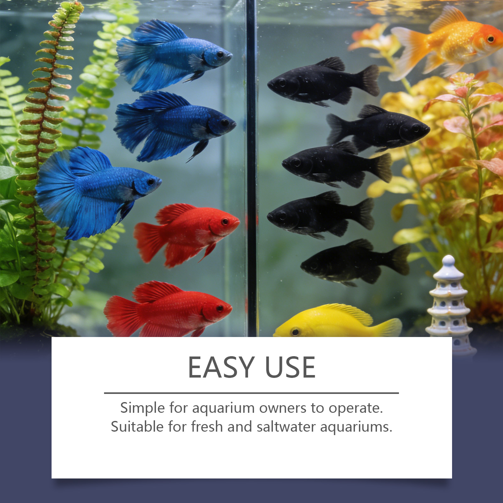Algae Remover Tablets for Aqua - огляд і ціна Planted Aquarium Cloudy Water