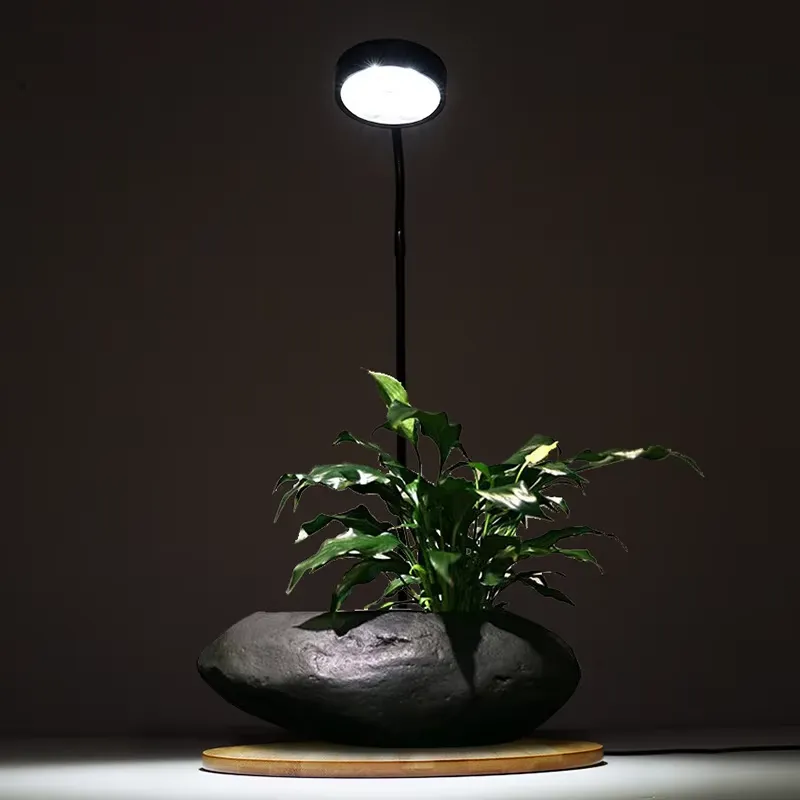 Desktop Decoration Timing Fish - огляд і ціна Planted Aquarium Hours