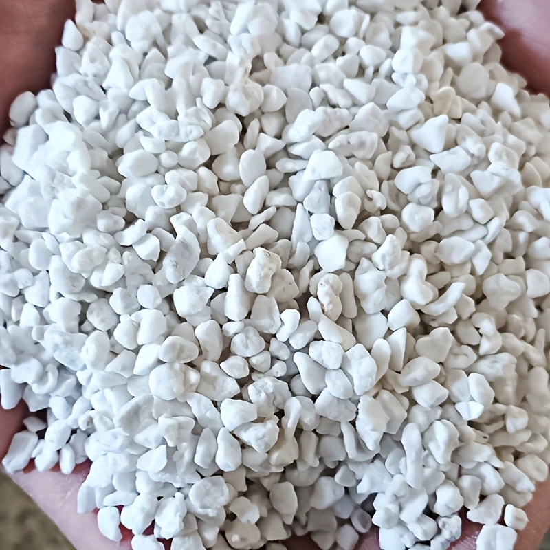 1 Pack of 3-6mm Horticultural  - огляд і ціна Tissue Culture Plant
