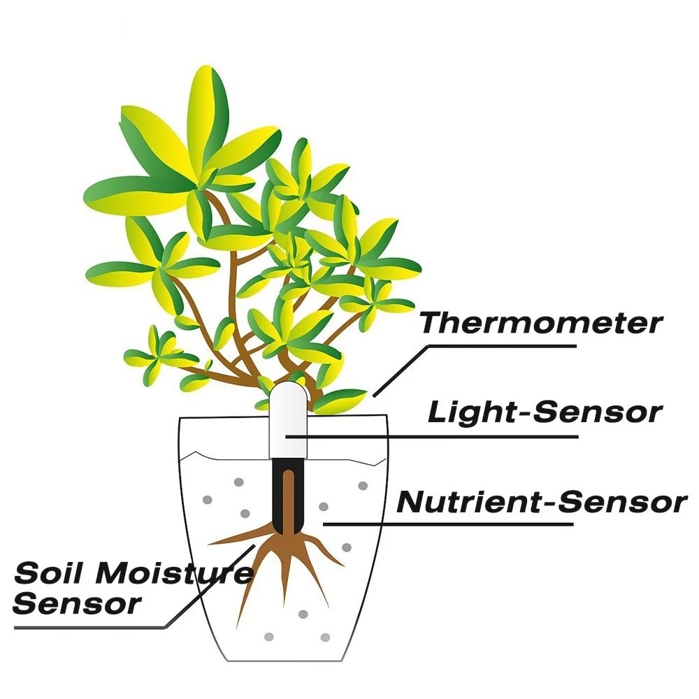 HHCC Flower Monitor Flora Gard - огляд і ціна Tissue Culture Plant