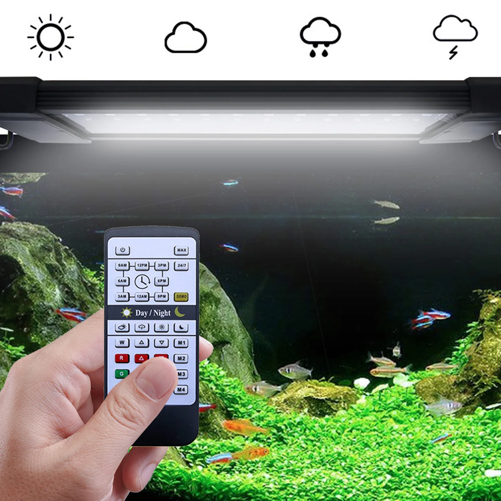 Liweida 24 Hours Natural Light - огляд і ціна Planted Aquarium Hours