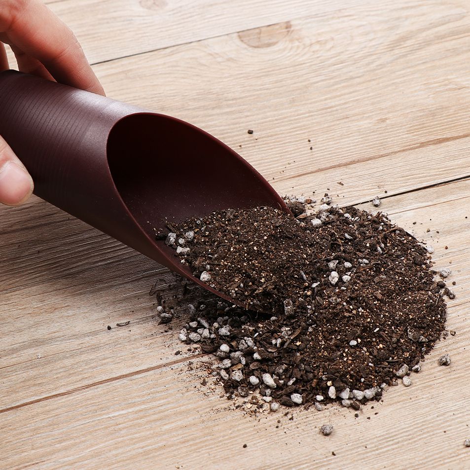 1PC Plastic Soil Shovel Cup Fo - огляд і ціна Tissue Culture Plant