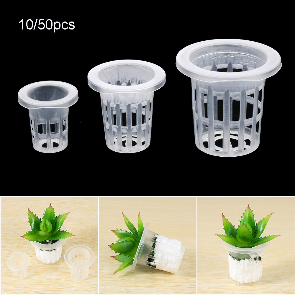 10/50pcs Garden Supplies Plant - огляд і ціна Aquarium Planted Seeds