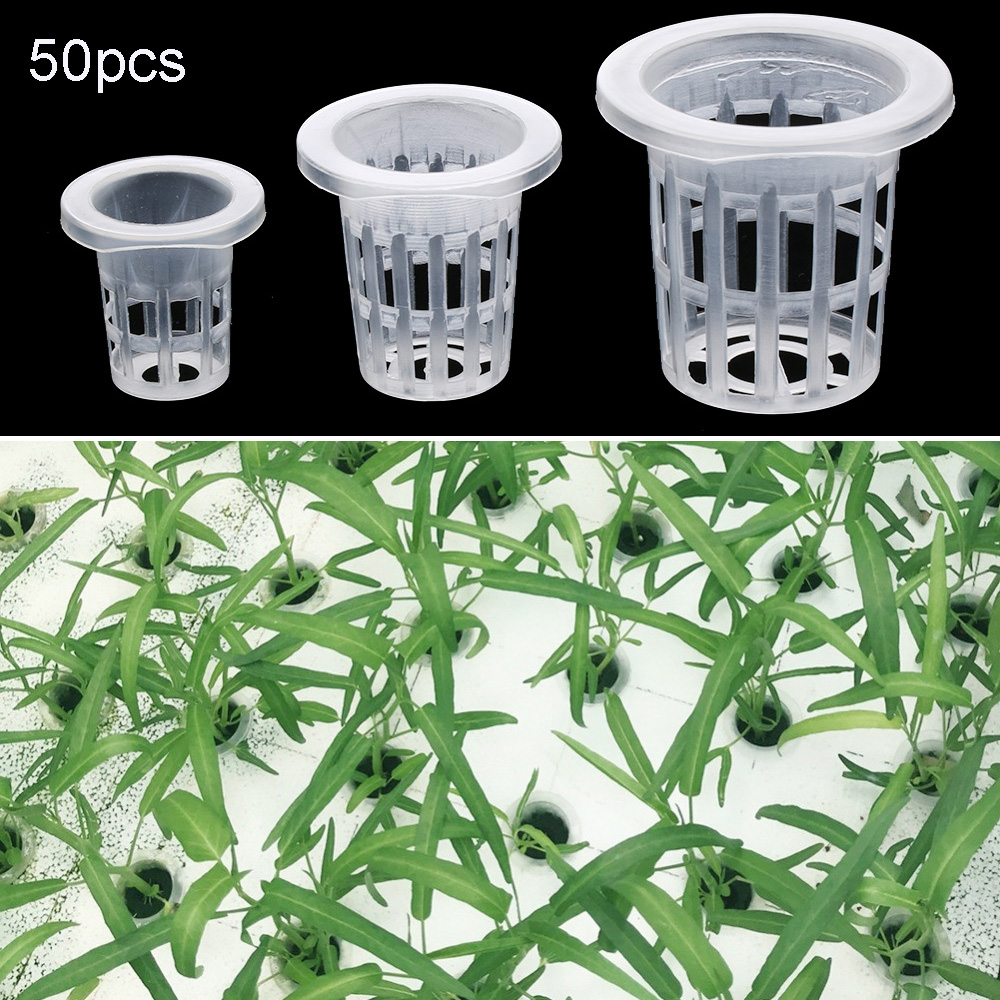 10/50pcs Garden Supplies Plant - огляд і ціна Aquarium Planted Seeds