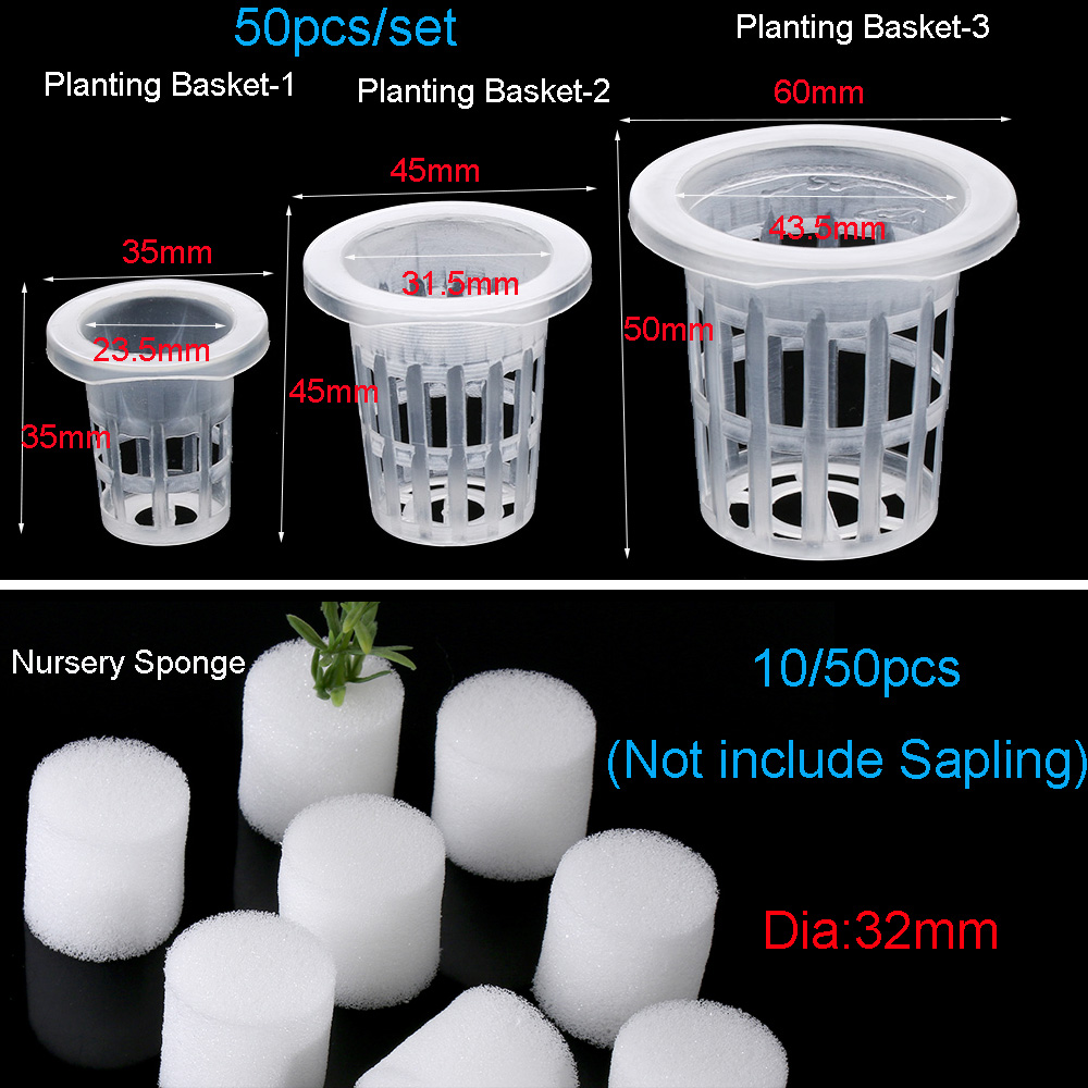10/50pcs Garden Supplies Plant - огляд і ціна Aquarium Planted Seeds